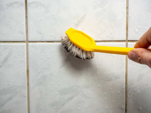 Trusted Powder Springs, GA Mold Removal Experts